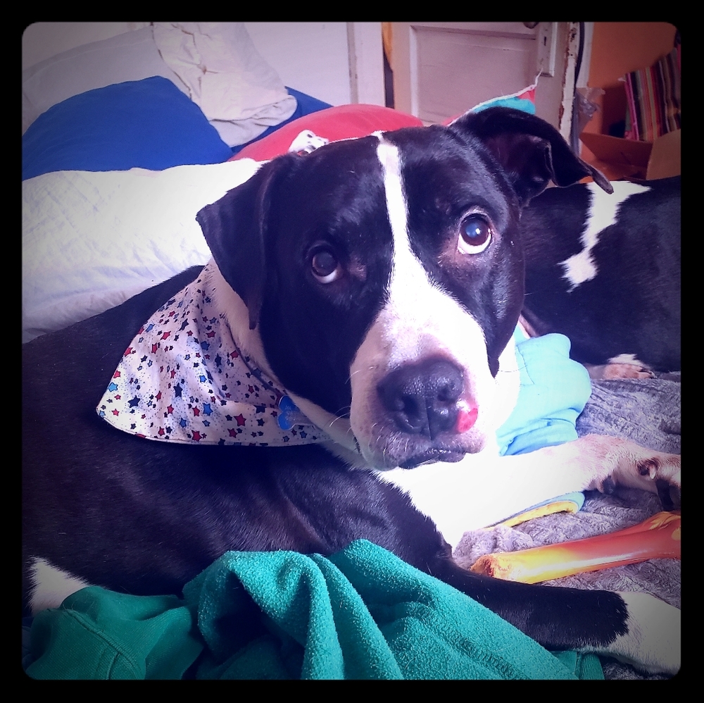Mars says thank you for helping him fight cancer